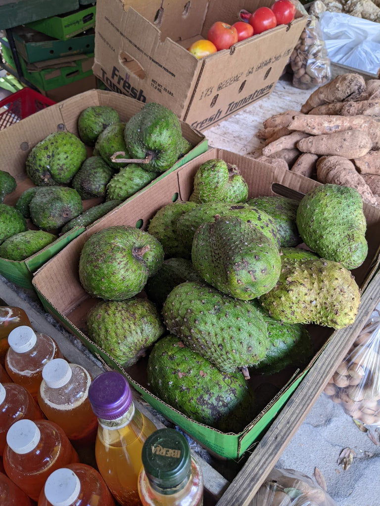 Guanabana/Soursop Experimental Farm Network Seed Store