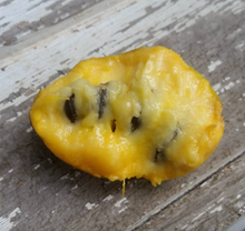 C. Dale's Improved Pawpaw Breeding Mix
