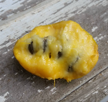 C. Dale's Pawpaw Breeding Mix