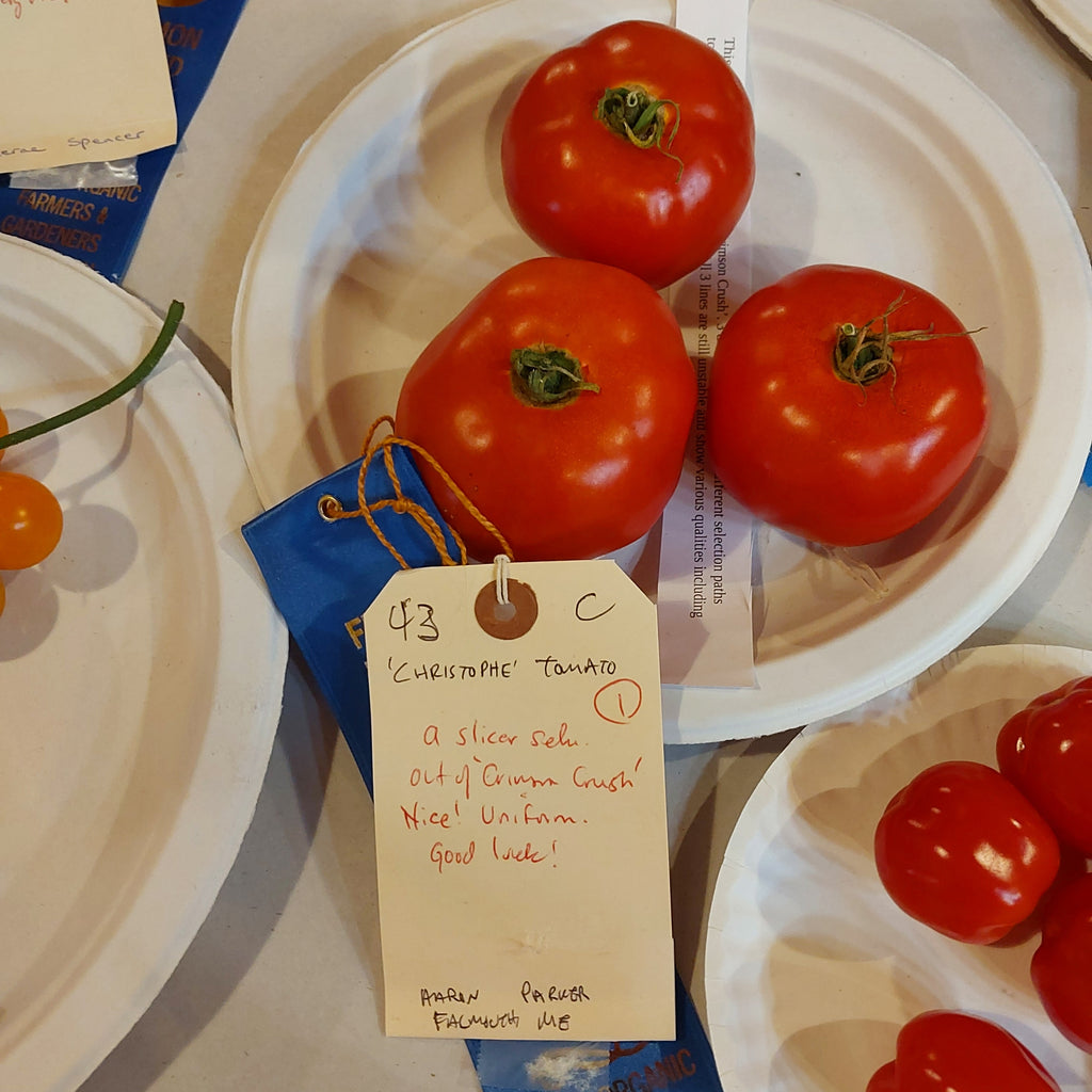 'Christoph' Tomato Experimental Farm Network Seed Store