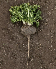 Black Maca