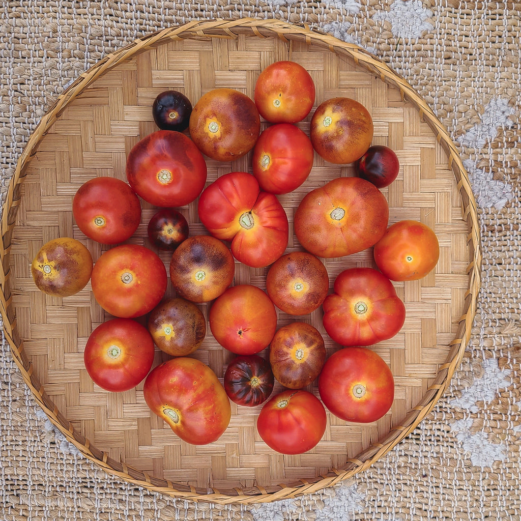 Mission Mountain II' Cherry/Saladette Tomato Grex – Experimental