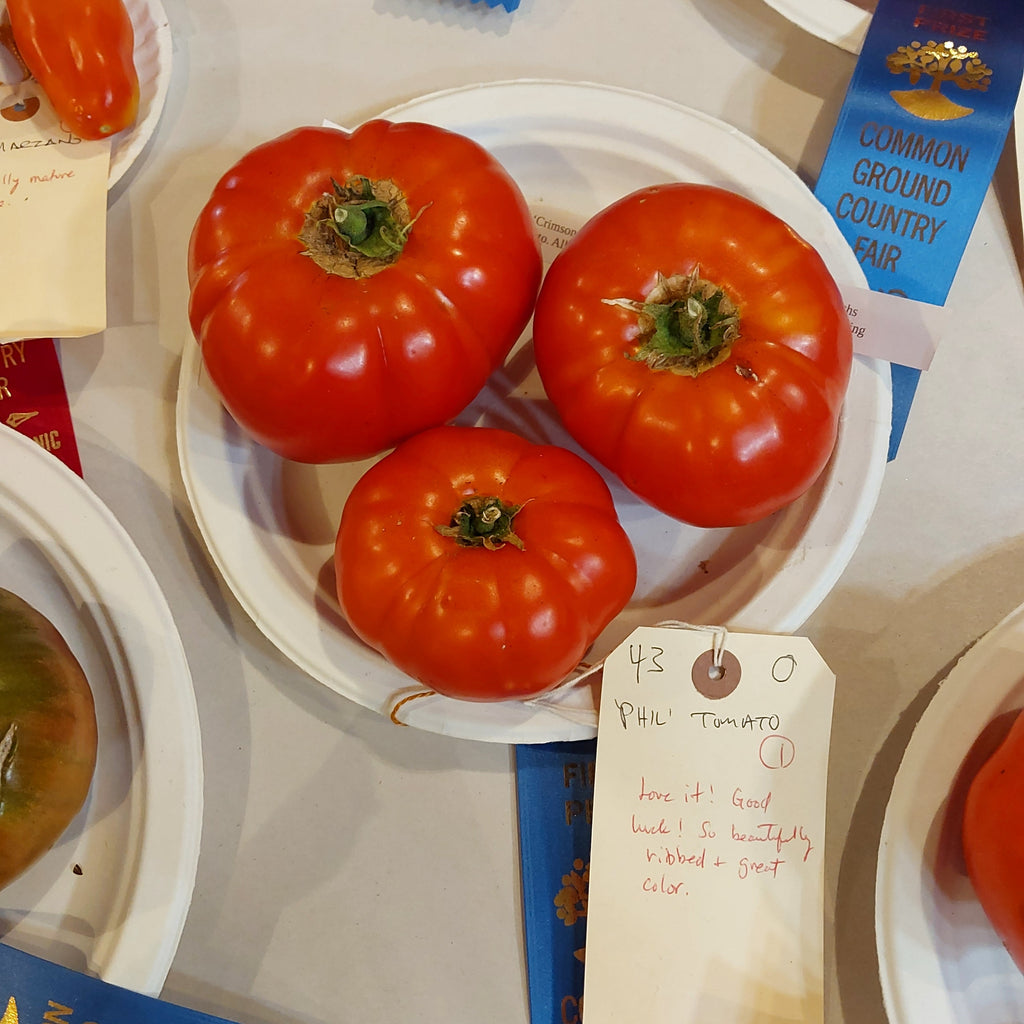 'Phil' Tomato Experimental Farm Network Seed Store