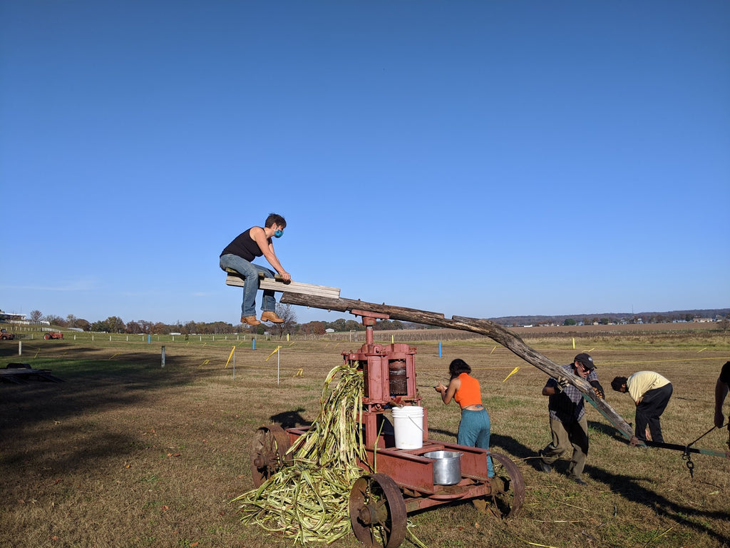 Osage Orange Experimental Farm Network Seed Store