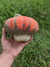 Jemi-Nanticoke Breeders Mix Winter Squash