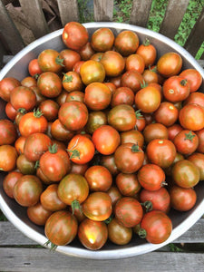 'Black Vernissage' Tomato