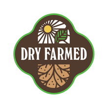 'Florida Wild Everglades' Tomato