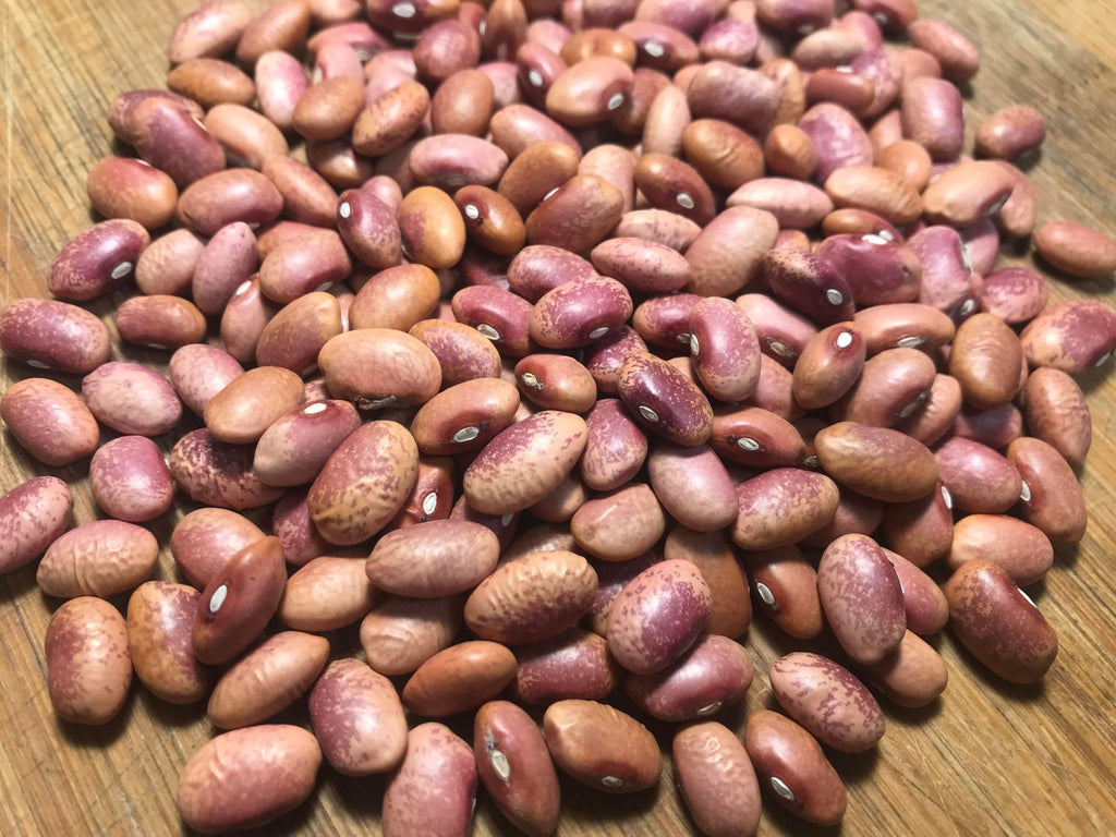 'Flor de Mayo' Bean Experimental Farm Network Seed Store