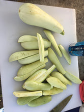 'Homs Kousa' Summer Squash