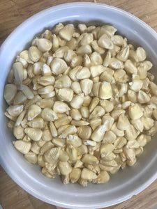 'Rodrigo's Northern Wisconsin-Adapted White Oaxacan' Flour Corn