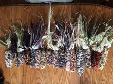 'Speckled Parching' Self-Feeding Corn Grex