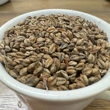 "Nova Scotia" Tartary Buckwheat