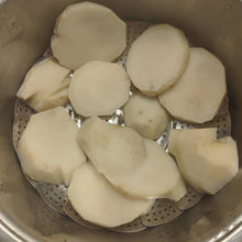 'Miss Gladys McGee's Turnip' Rutabaga-Turnip