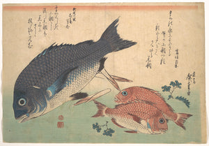 Sanshō (Japanese Peppercorn)