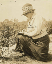 Elizabeth Coleman White's Blueberry Breeding Mix