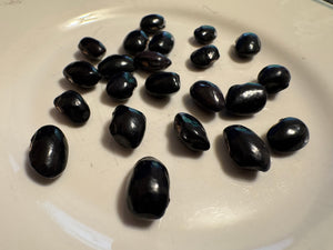 'Black Shackamaxon' Pole Bean