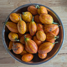 Addi Anchote (White Hanchotte)