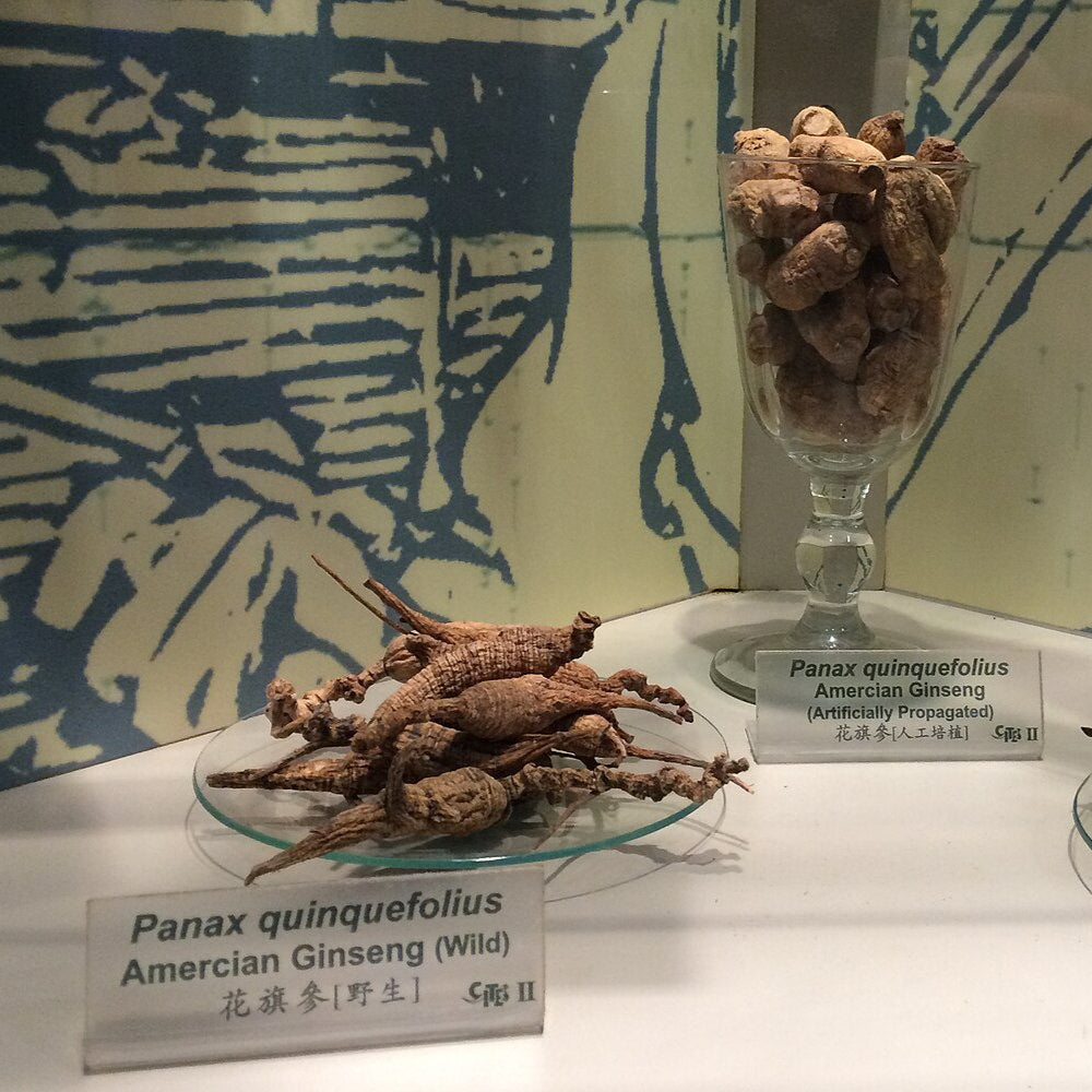 American Ginseng – Experimental Farm Network Seed Store