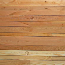 White Ash (American Ash)