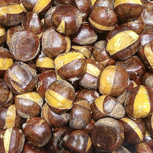 Elfers' Northern Chestnut Seedlings Mix (Zones 4-6)