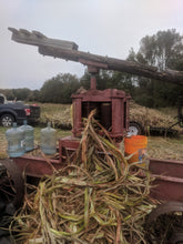 'Sugar Drip' Sorghum