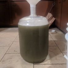 'Sugar Drip' Sorghum