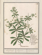 Cleavers