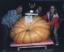 'Dill's Atlantic Giant' Pumpkin