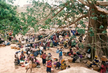 Senegalese Baobab