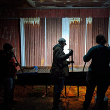 'Sugar Drip' Sorghum