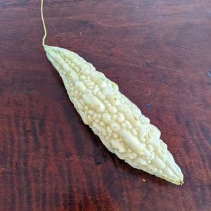 'St. Croix White' Bitter Melon