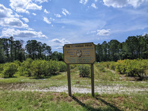 Elizabeth Coleman White's Blueberry Breeding Mix