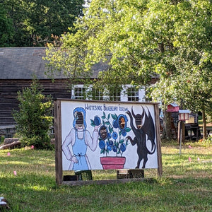 Elizabeth Coleman White's Blueberry Breeding Mix