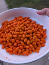 Lithuanian Sea Buckthorn
