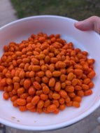Lithuanian Sea Buckthorn