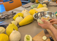 Maycock Squash (Yellow & White Population)