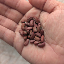 'Hung' Long Bean (China)