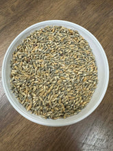 'Takmachik Landrace' Barley