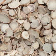 Chinese Peony (Garden Peony)