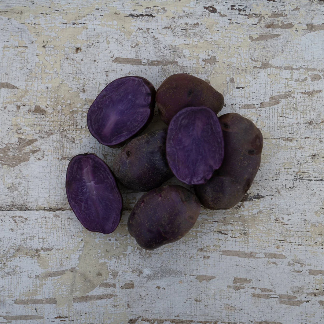 'Adirondack Blue' Seed Potatoes