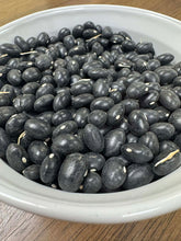 'Black Coco' Bean