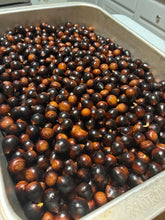 Clements Nursery Allegheny Chinquapin Chestnut Seeds