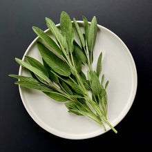 Common Sage