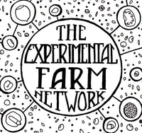 New Jersey Tea – Experimental Farm Network Seed Store