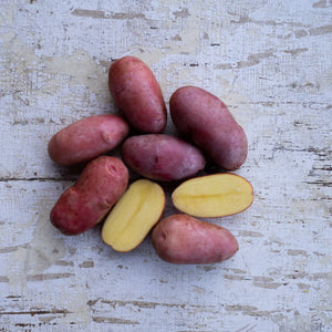 'French Fingerling' Seed Potatoes