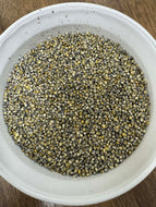 Indian Blue Pearl Millet