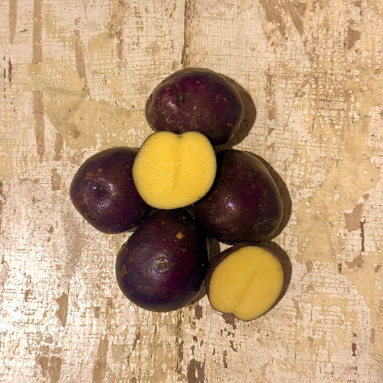 'Indigold' Seed Potatoes – Experimental Farm Network Seed Store