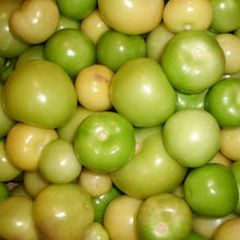 Going to Seed Tomatillo Grex