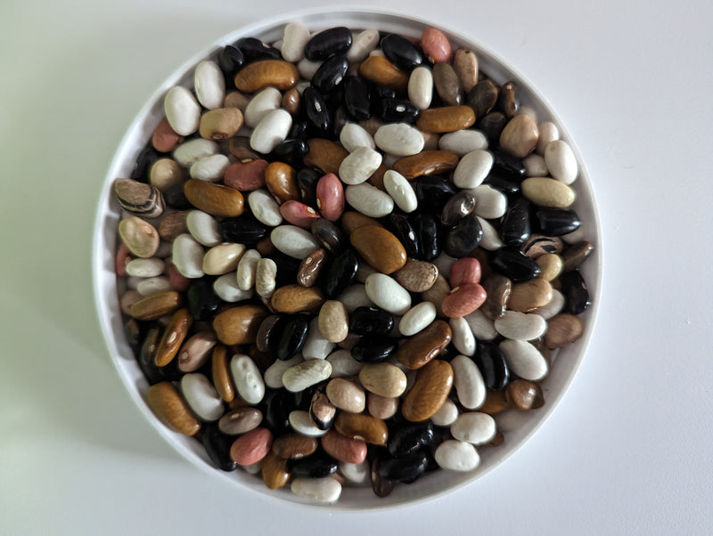 magic bean plant seeds Magic Mix' Pole Bean – Experimental Farm Network Seed Store