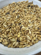 Oregon Naked Barley Blend